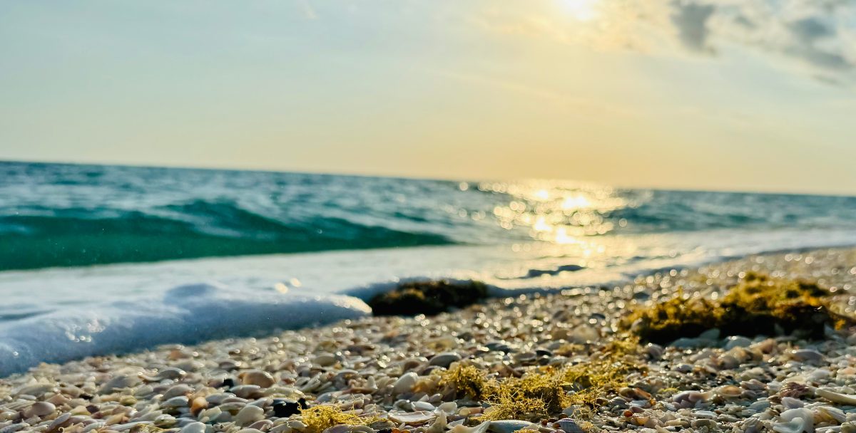 Sorrento Shores Community